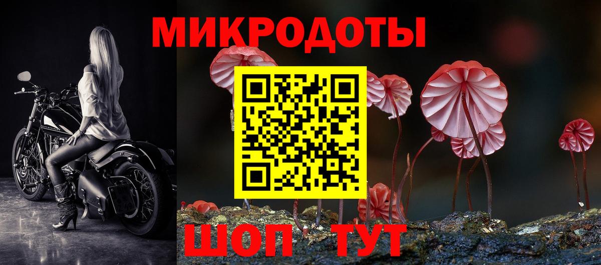 Видное  Галлюциногенные грибы Psilocybine cubensis  Вход с VPN 