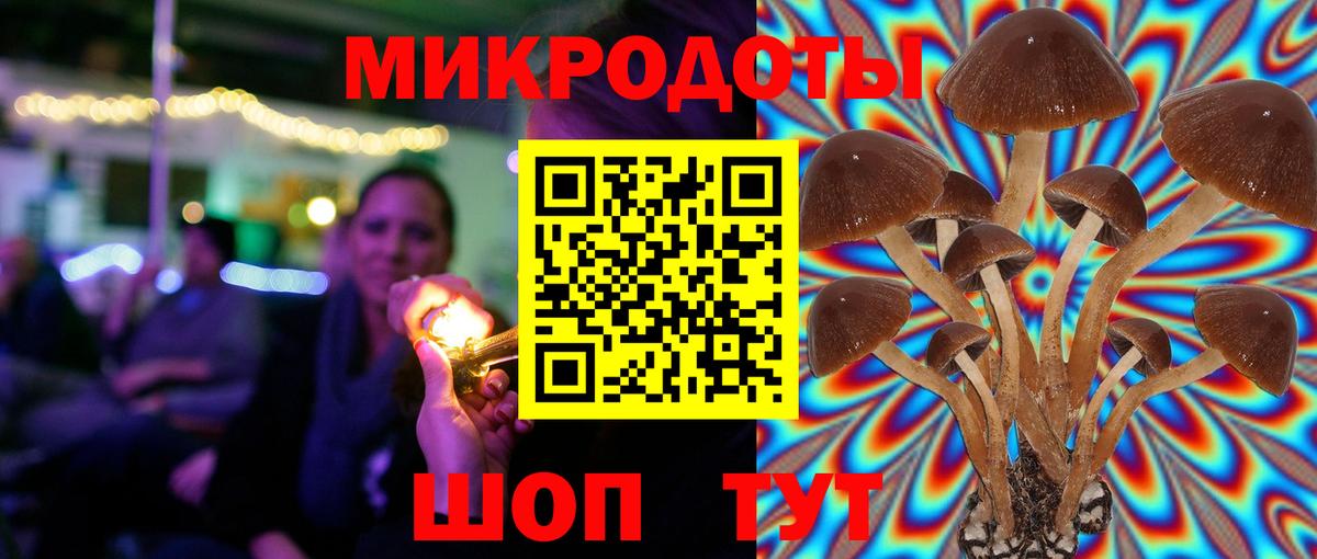 Псилоцибиновые грибы ЛСД Видное