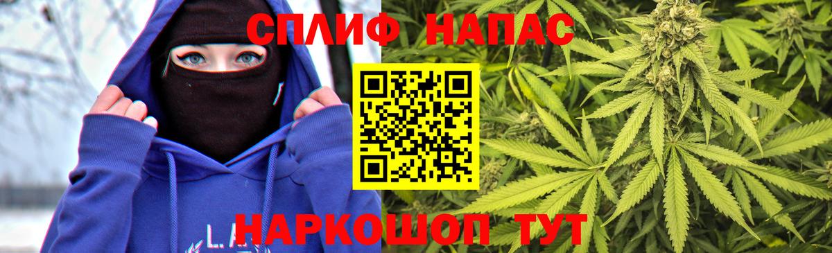 Бошки марихуана сатива Видное